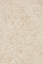Loloi Juneau Jy - 03 Ant Ivory / Beige Rugs - Loloi - junejy - 03aibe3656