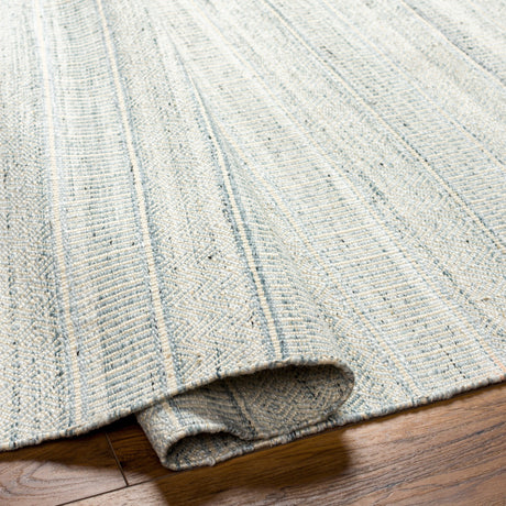 Surya Lily Lyi-2305 Beige, Ice Blue, Pale Blue, Light Blue Rug.