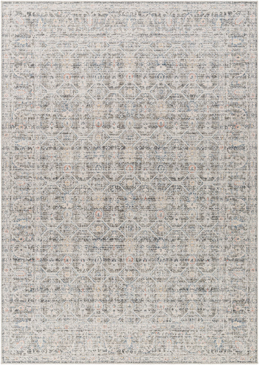 Surya Marlon Mlo-2301 Slate, Blue, Light Beige, Olive, Dusty Coral Area Rug