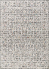 Surya Marlon Mlo-2301 Slate, Blue, Light Beige, Olive, Dusty Coral Area Rug