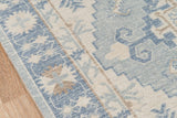 Momeni Anatolia Ana-1 Blue Rugs.