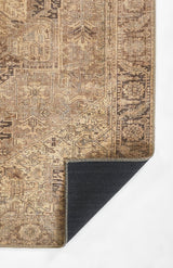 Momeni Ariana Ari - 3 Brown Rug - Momeni - arianari - 3brn2030