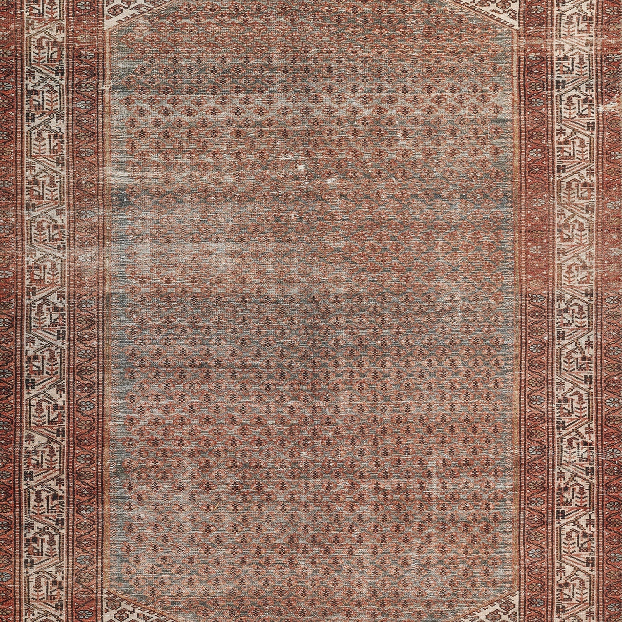 Momeni Ariana Ari - 9 Rust Rug - Momeni - arianari - 9rst2030