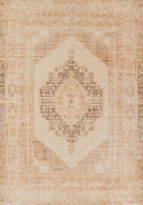 Momeni Chandler Chn - 9 Beige Rug - Momeni - chandchn - 9bge2030