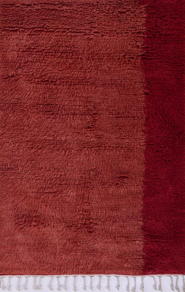 Momeni Neo Nem - 3 Red Rug - Momeni - neo00nem - 3red2030