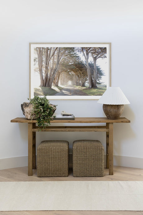 Momeni Pure Salt Koukila Kok - 1 Ivory Rug - Momeni - koukikok - 1ivy5080