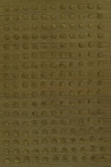Momeni Pure Salt Patara Pat - 1 Green Rug - Momeni - patarpat - 1grn5080