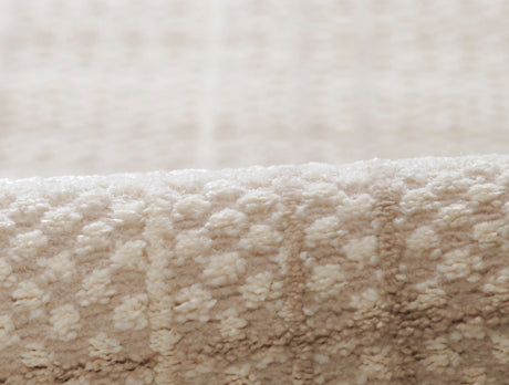Momeni Talia Tli - 1 Beige Rug - Momeni - taliatli - 1bge4060