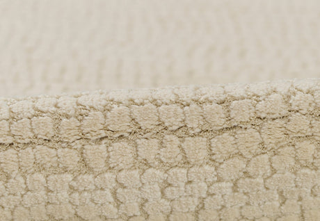 Momeni Wren Wre - 4 Ivory Rug - Momeni - wren0wre - 4ivy5373