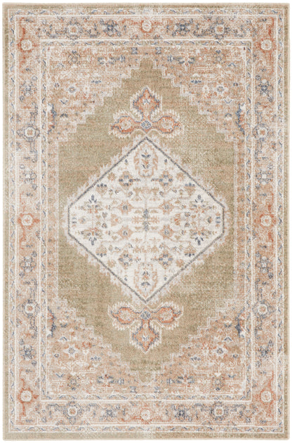 Nourison Astra Machine Washable Asw11 Sage Multi Area Rug