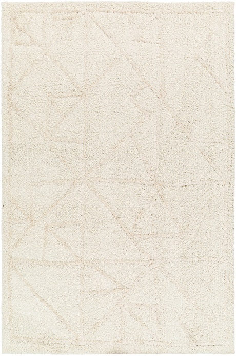 Surya Maryland Shag Msg-2300 Ivory, Off-White Rug.