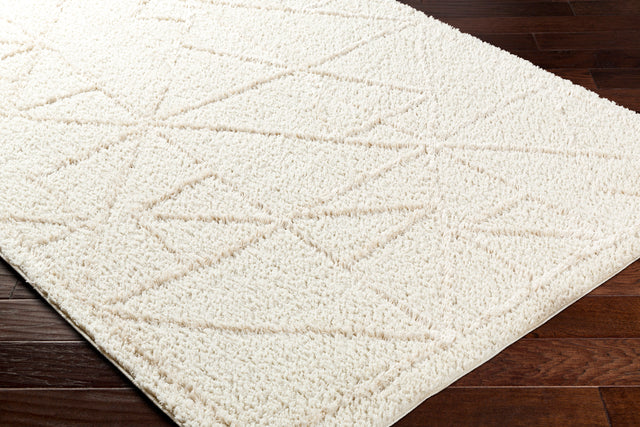 Surya Maryland Shag Msg-2300 Ivory, Off-White Rug.