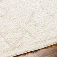 Surya Maryland Shag Msg-2300 Ivory, Off-White Area Rug