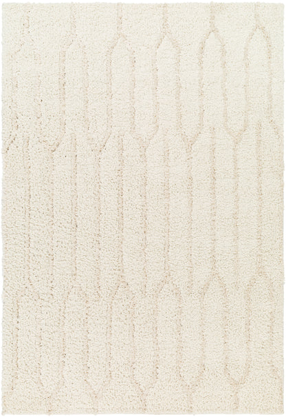 Surya Maryland Shag Msg-2301 Ivory, Off-White Area Rug