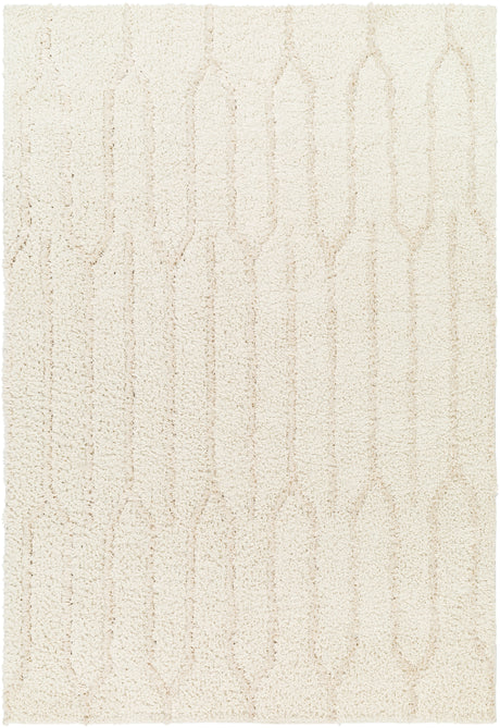 Surya Maryland Shag Msg-2301 Ivory, Off-White Rug.