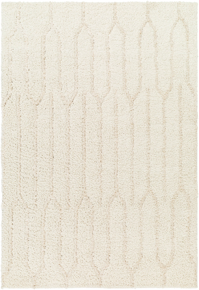 Surya Maryland Shag Msg-2301 Ivory, Off-White Rug.