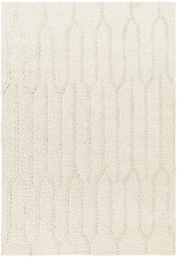 Surya Maryland Shag Msg-2301 Ivory, Off-White Area Rug