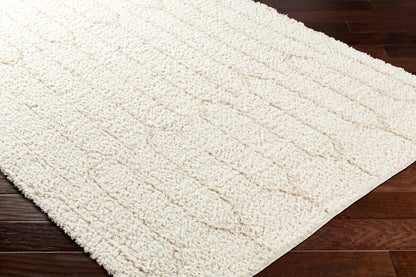 Surya Maryland Shag Msg-2301 Ivory, Off-White Area Rug