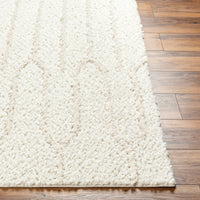 Surya Maryland Shag Msg-2301 Ivory, Off-White Area Rug