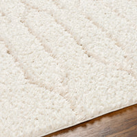 Surya Maryland Shag Msg-2301 Ivory, Off-White Area Rug