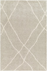Surya Maryland Shag Msg-2303 Charcoal, Off-White Rug.