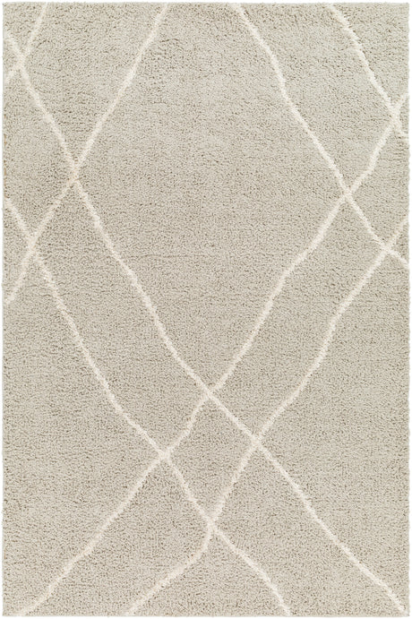 Surya Maryland Shag Msg-2303 Charcoal, Off-White Rug.