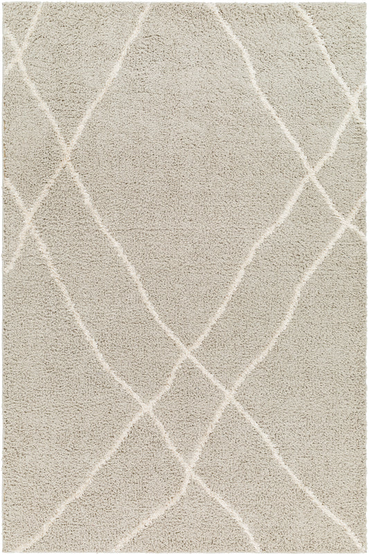 Surya Maryland Shag Msg-2303 Charcoal, Off-White Area Rug