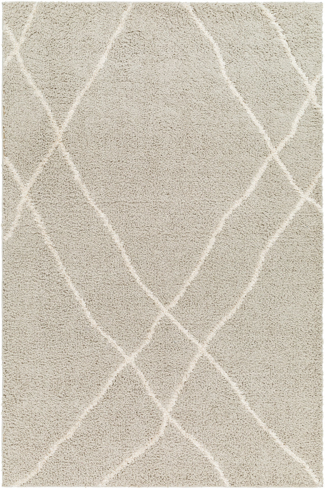 Surya Maryland Shag Msg-2303 Charcoal, Off-White Rug.