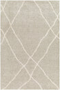 Surya Maryland Shag Msg-2303 Charcoal, Off-White Rug.