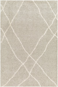 Surya Maryland Shag Msg-2303 Charcoal, Off-White Area Rug