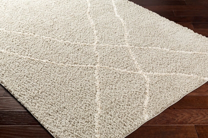 Surya Maryland Shag Msg-2303 Charcoal, Off-White Area Rug