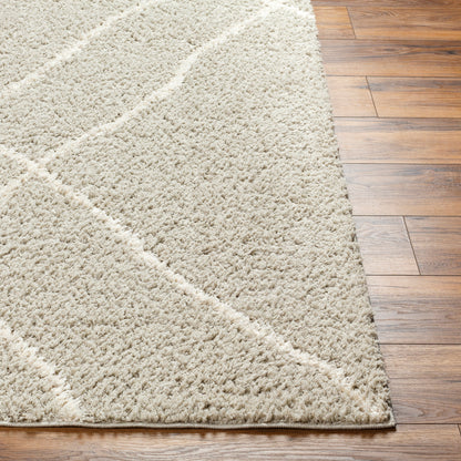 Surya Maryland Shag Msg-2303 Charcoal, Off-White Area Rug