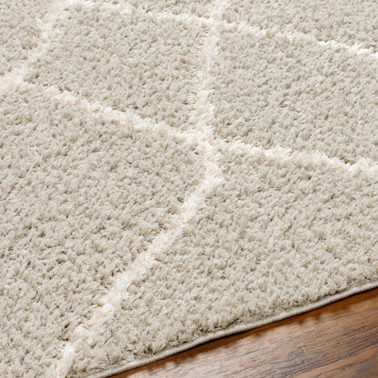 Surya Maryland Shag Msg-2303 Charcoal, Off-White Area Rug