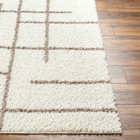 Surya Maryland Shag Msg-2304 Medium Gray, Off-White Area Rug