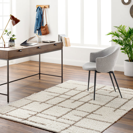 Surya Maryland Shag Msg-2304 Medium Gray, Off-White Rug.