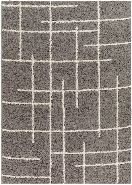 Surya Maryland Shag Msg-2305 Medium Gray, Dark Brown Rug.