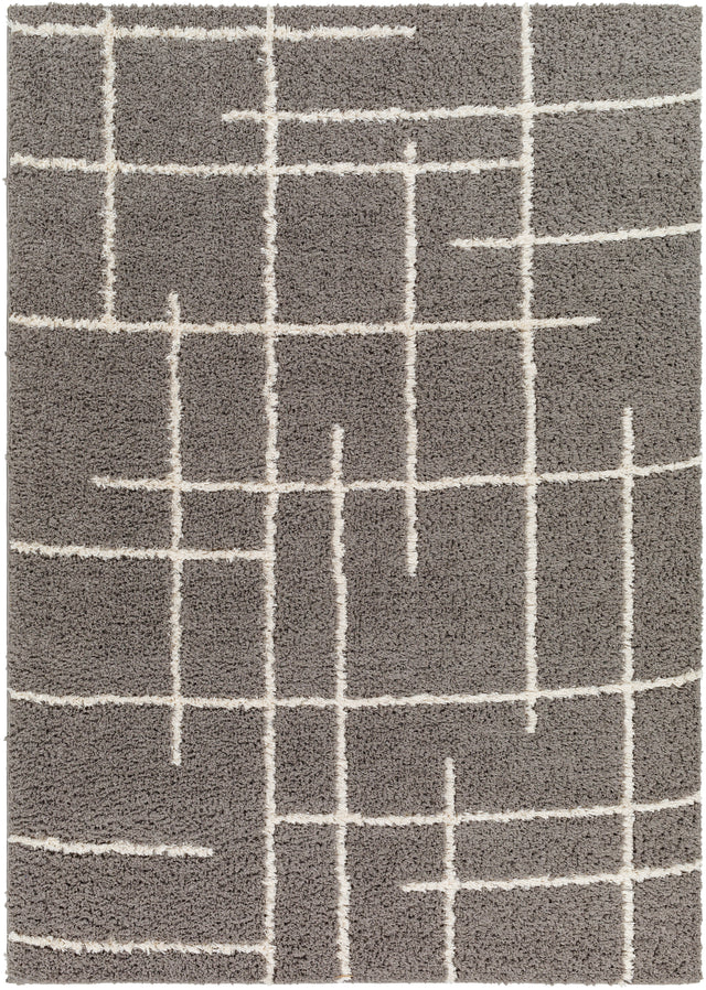 Surya Maryland Shag Msg-2305 Medium Gray, Dark Brown Rug.