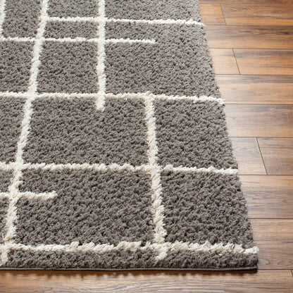 Surya Maryland Shag Msg-2305 Medium Gray, Dark Brown Area Rug