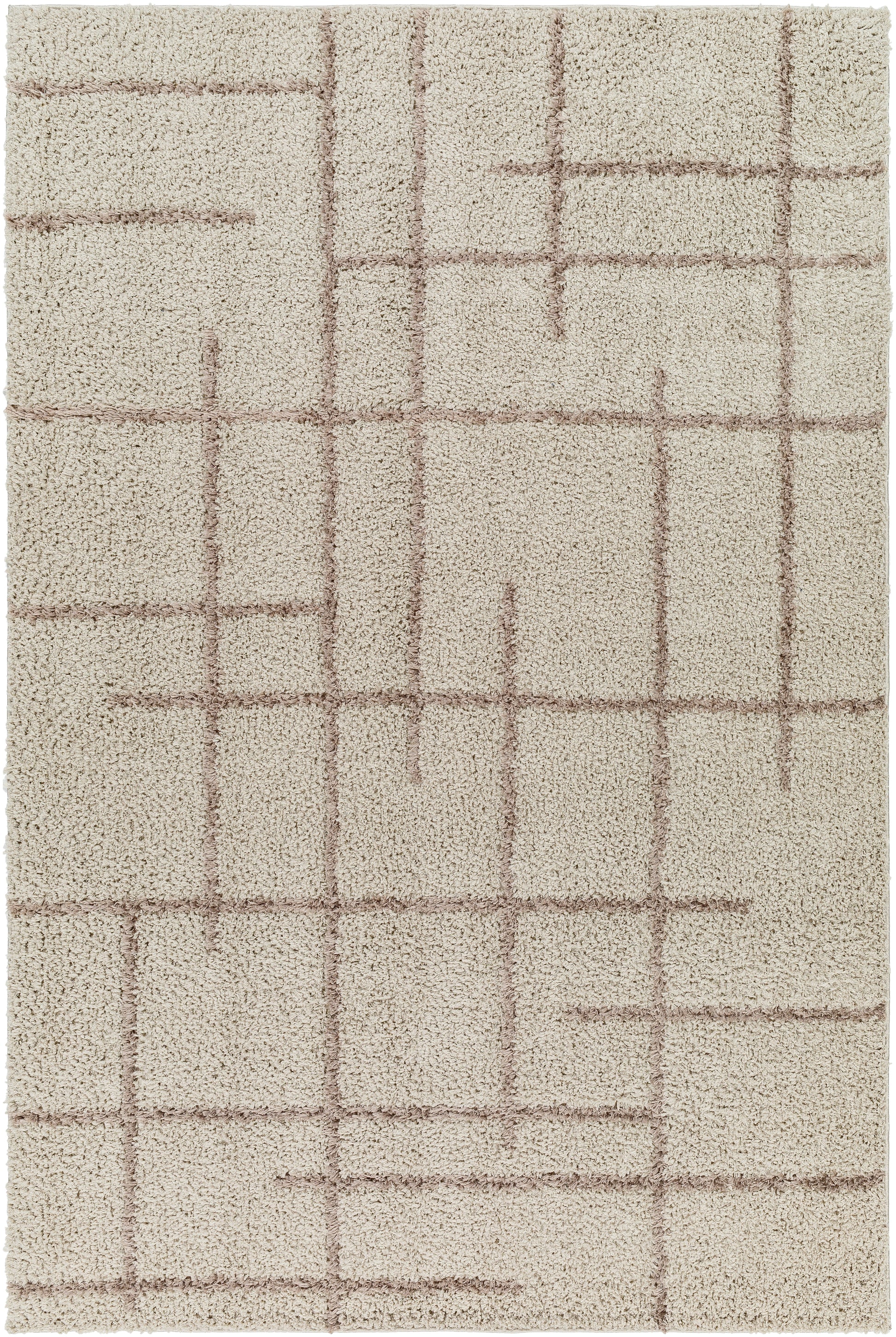 Surya Maryland Shag Msg-2306 Ivory, Dark Brown Area Rug