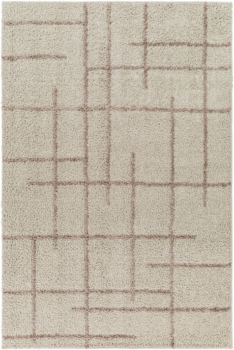 Surya Maryland Shag Msg-2306 Ivory, Dark Brown Rug.