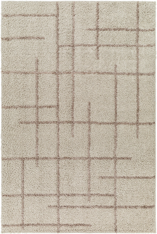 Surya Maryland Shag Msg-2306 Ivory, Dark Brown Area Rug