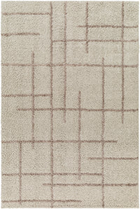 Surya Maryland Shag Msg-2306 Ivory, Dark Brown Area Rug