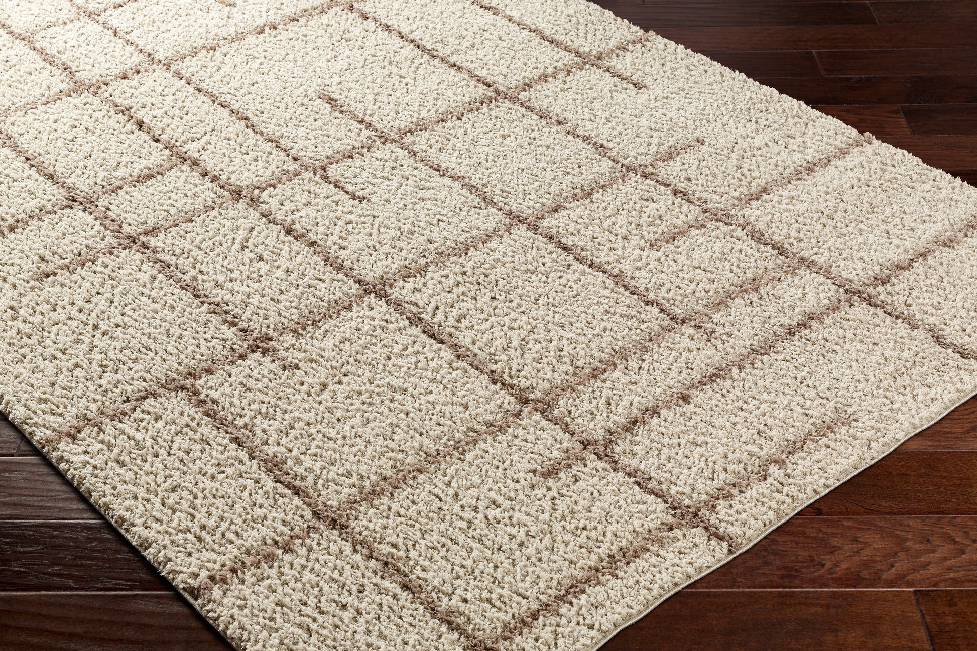 Surya Maryland Shag Msg-2306 Ivory, Dark Brown Area Rug