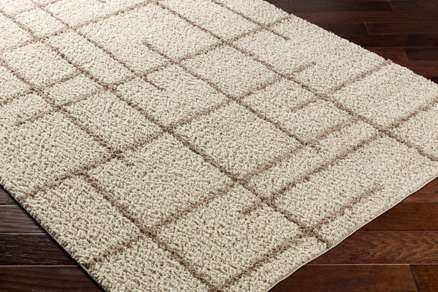 Surya Maryland Shag Msg-2306 Ivory, Dark Brown Rug.