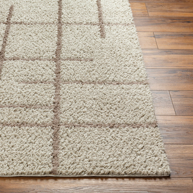 Surya Maryland Shag Msg-2306 Ivory, Dark Brown Rug.