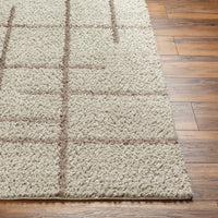 Surya Maryland Shag Msg-2306 Ivory, Dark Brown Area Rug