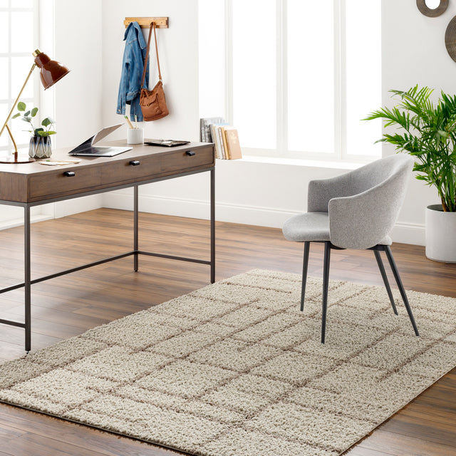 Surya Maryland Shag Msg-2306 Ivory, Dark Brown Rug.