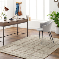 Surya Maryland Shag Msg-2306 Ivory, Dark Brown Area Rug