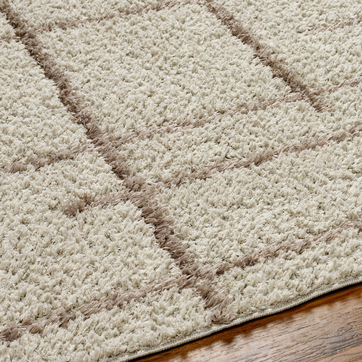 Surya Maryland Shag Msg-2306 Ivory, Dark Brown Rug.