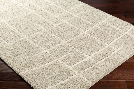 Surya Maryland Shag Msg-2307 Dark Brown, Off-White Rug.